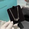 XLTF25006-CZZ ティファニーTIFFANY CO 2025年最新入荷 ロングチェーン ネックレス ジュエリー